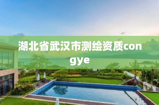 湖北省武汉市测绘资质congye