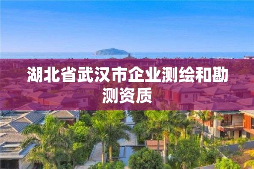 湖北省武汉市企业测绘和勘测资质