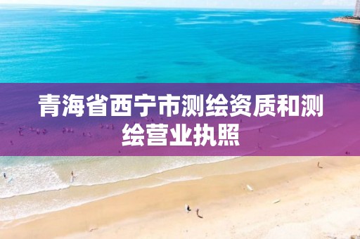 青海省西宁市测绘资质和测绘营业执照