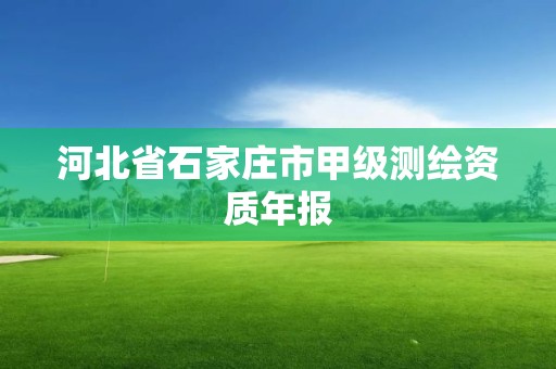 河北省石家庄市甲级测绘资质年报