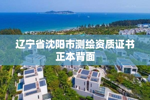 辽宁省沈阳市测绘资质证书正本背面