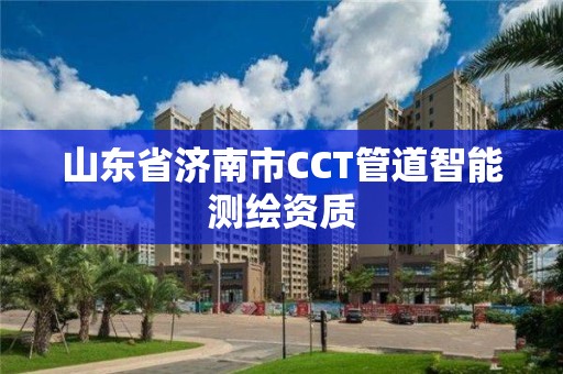 山东省济南市CCT管道智能测绘资质