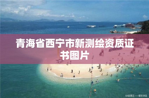 青海省西宁市新测绘资质证书图片