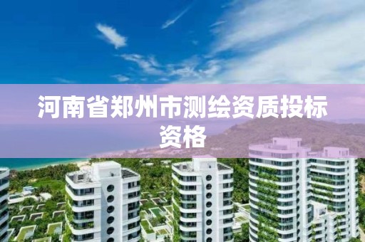 河南省郑州市测绘资质投标资格