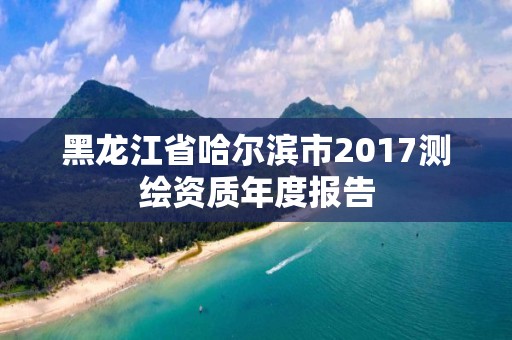 黑龙江省哈尔滨市2017测绘资质年度报告