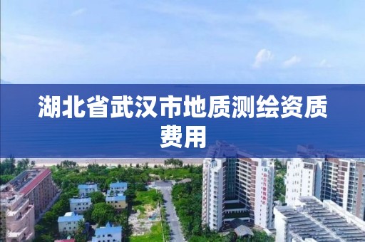 湖北省武汉市地质测绘资质费用