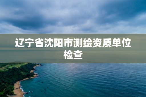 辽宁省沈阳市测绘资质单位检查