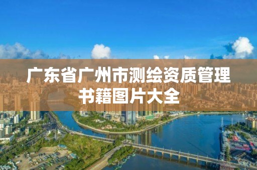 广东省广州市测绘资质管理书籍图片大全