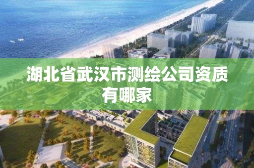 湖北省武汉市测绘公司资质有哪家