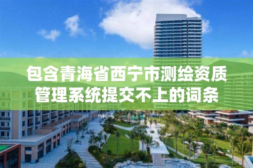 包含青海省西宁市测绘资质管理系统提交不上的词条