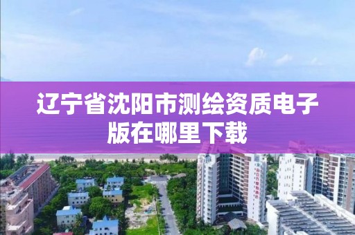 辽宁省沈阳市测绘资质电子版在哪里下载