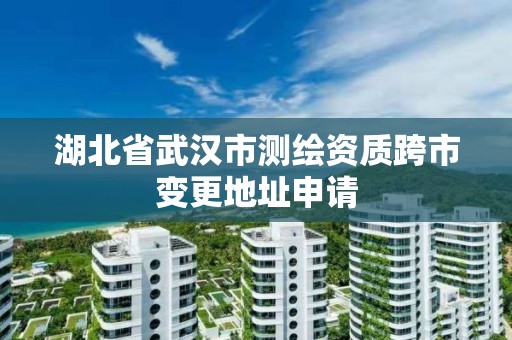 湖北省武汉市测绘资质跨市变更地址申请