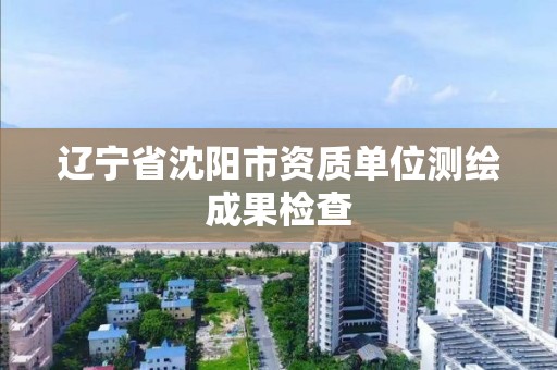 辽宁省沈阳市资质单位测绘成果检查