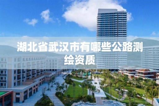 湖北省武汉市有哪些公路测绘资质