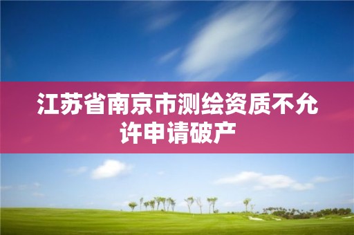 江苏省南京市测绘资质不允许申请破产