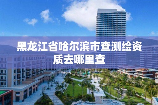 黑龙江省哈尔滨市查测绘资质去哪里查