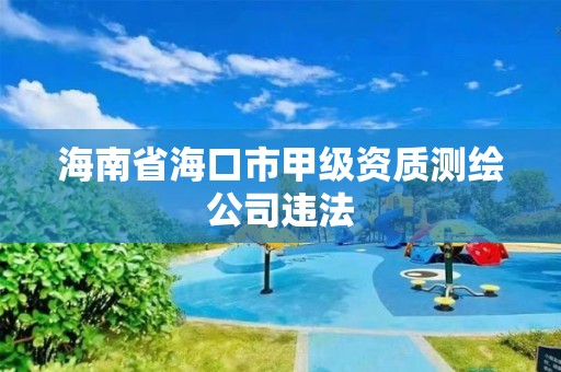 海南省海口市甲级资质测绘公司违法