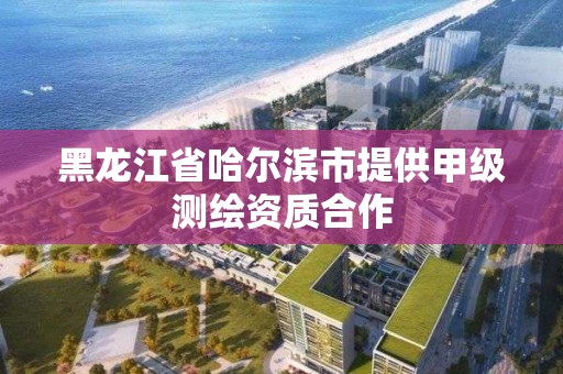 黑龙江省哈尔滨市提供甲级测绘资质合作