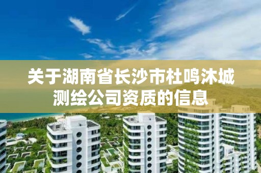 关于湖南省长沙市杜鸣沐城测绘公司资质的信息