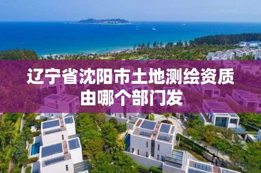 辽宁省沈阳市土地测绘资质由哪个部门发