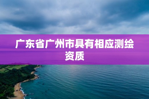 广东省广州市具有相应测绘资质