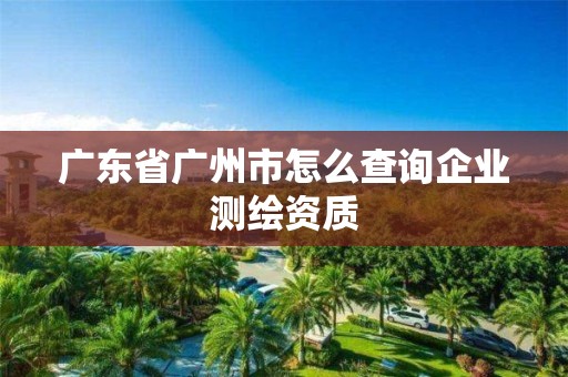 广东省广州市怎么查询企业测绘资质