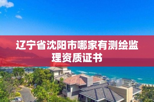 辽宁省沈阳市哪家有测绘监理资质证书