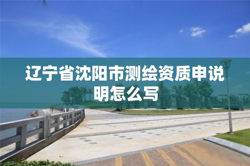 辽宁省沈阳市测绘资质申说明怎么写