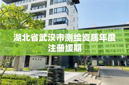 湖北省武汉市测绘资质年度注册缓期