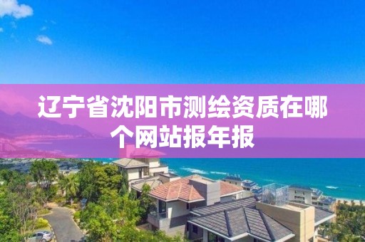 辽宁省沈阳市测绘资质在哪个网站报年报