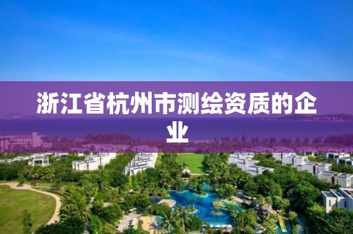 浙江省杭州市测绘资质的企业