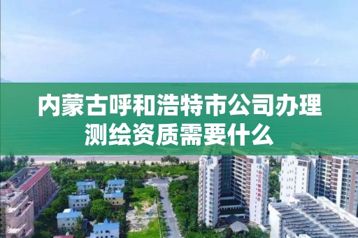 内蒙古呼和浩特市公司办理测绘资质需要什么