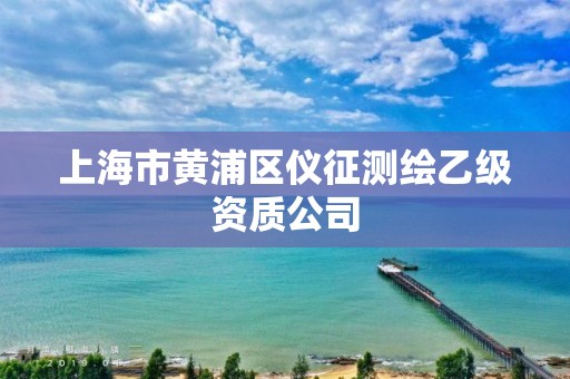 上海市黄浦区仪征测绘乙级资质公司