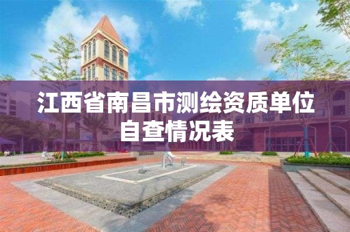 江西省南昌市测绘资质单位自查情况表