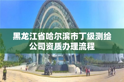 黑龙江省哈尔滨市丁级测绘公司资质办理流程 黑龙江省哈尔滨市丁级测绘公司资质办理流程