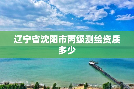 辽宁省沈阳市丙级测绘资质多少