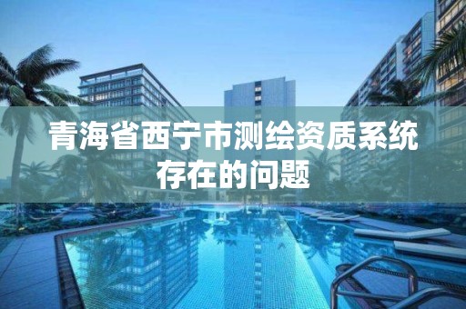 青海省西宁市测绘资质系统存在的问题