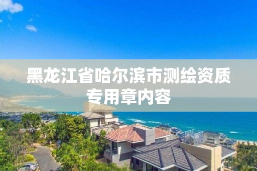 黑龙江省哈尔滨市测绘资质专用章内容