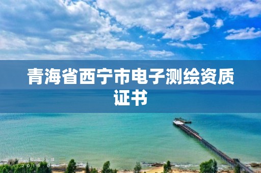 青海省西宁市电子测绘资质证书