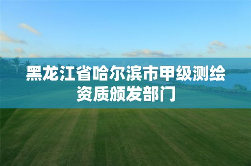 黑龙江省哈尔滨市甲级测绘资质颁发部门