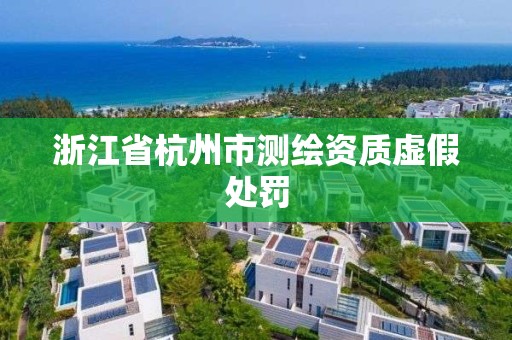 浙江省杭州市测绘资质虚假处罚