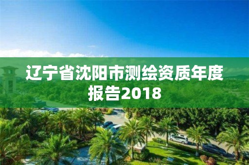 辽宁省沈阳市测绘资质年度报告2018