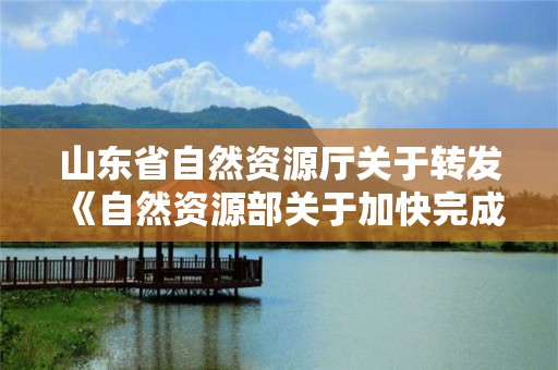 山东省自然资源厅关于转发《自然资源部关于加快完成集体土地所有权确权登记成果更新汇交的通知》的通知