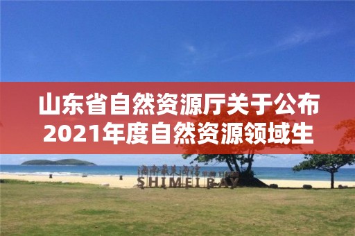 山东省自然资源厅关于公布2021年度自然资源领域生态产品价值实现典型案例的通报