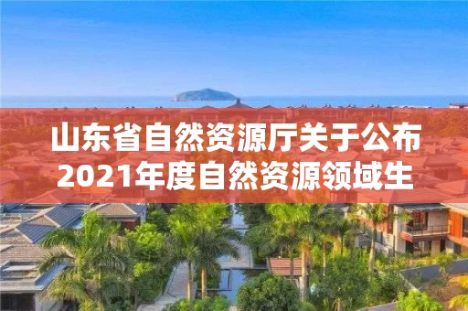 山东省自然资源厅关于公布2021年度自然资源领域生态产品价值实现典型案例的通报 山东省自然资源厅关于公布2021年度自然资源领域生态产品价值实现典型案例的通报
