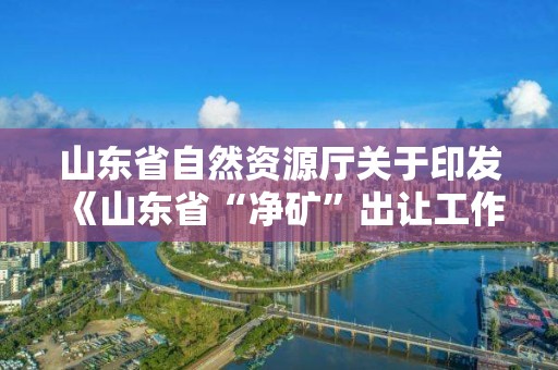 山东省自然资源厅关于印发《山东省“净矿”出让工作指导意见（试行）》的通知