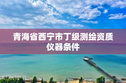 青海省西宁市丁级测绘资质仪器条件