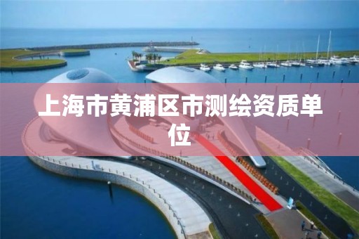 上海市黄浦区市测绘资质单位