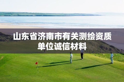 山东省济南市有关测绘资质单位诚信材料