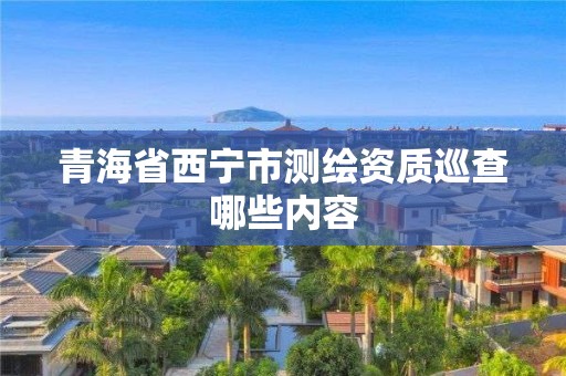 青海省西宁市测绘资质巡查哪些内容